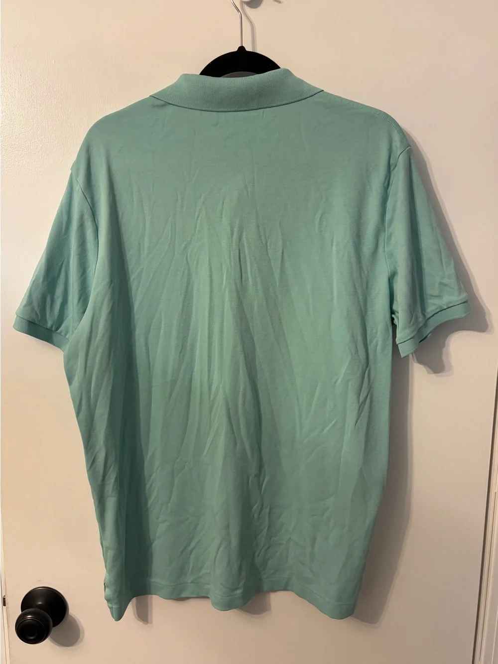 Ralph Lauren Polo Shirt in Mint Green with Embroidered Pony